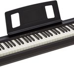FP-10 BK